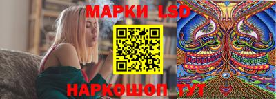 крисы Аргун