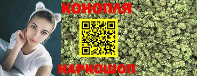 крисы Аргун